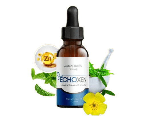 EchoXen